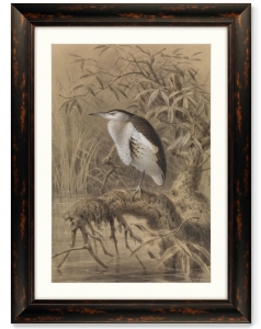 Постер Bird by the lake 61X81 CM