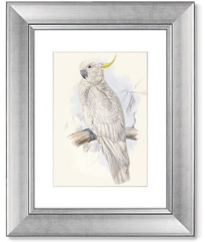 Диптих White cockatoo 41X51 / 41X51 CM