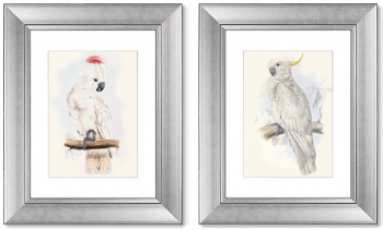 Диптих White cockatoo 41X51 / 41X51 CM