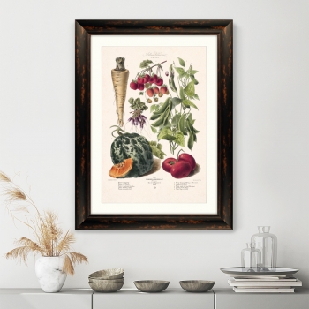 Постер Vilmorin Andrieux & Cie 61X81 CM