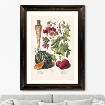 Постер Vilmorin Andrieux & Cie 61X81 CM