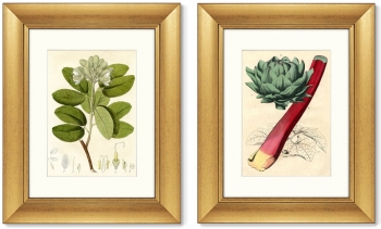 Диптих British Botanic Book 41X51 / 41X51 CM
