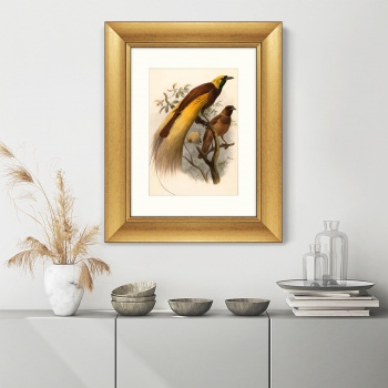 Постер Big Bird of Paradise 41X51 CM
