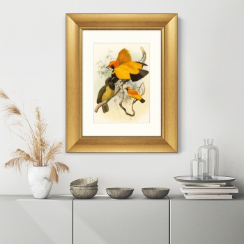 Постер Golden Birds of Paradise 41X51 CM
