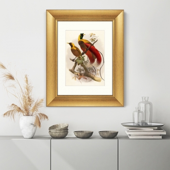 Постер Red Bird of Paradise 41X51 CM