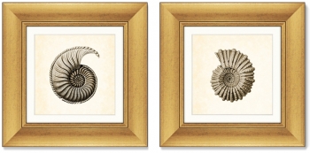 Диптих Marine life 36X36 / 36X36 CM