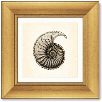 Диптих Marine life 36X36 / 36X36 CM