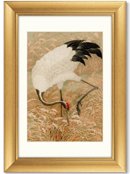 Постер Sarus crane in rice field 51X71 CM