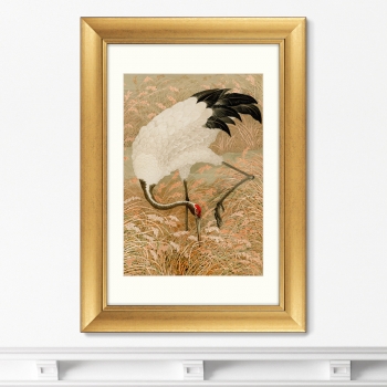 Постер Sarus crane in rice field 51X71 CM