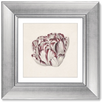 Диптих Tulp 36X36 / 36X36 CM