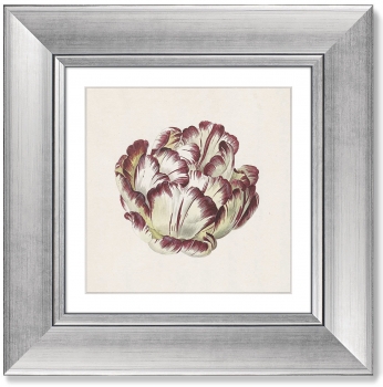 Диптих Tulp 36X36 / 36X36 CM
