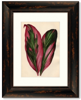 Диптих Botanical Leaf Dracaena 41X51 / 41X51 CM