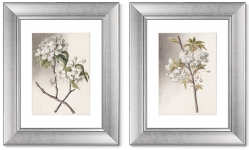 Диптих Watercolor over pencil etude 41X51 / 41X51 CM