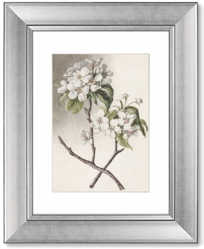 Диптих Watercolor over pencil etude 41X51 / 41X51 CM