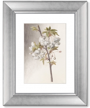 Диптих Watercolor over pencil etude 41X51 / 41X51 CM