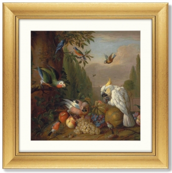 Постер A cockatoo birds 61X61 CM