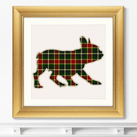 Постер Bulldog in a Scottish cage 61X61 CM 2