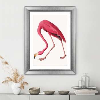 Постер American Flamingo 61X81 CM