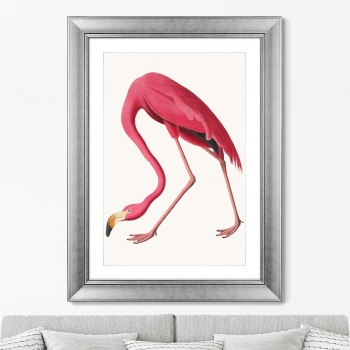 Постер American Flamingo 61X81 CM