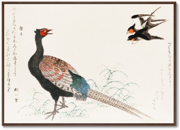 Постеры Fumiyomu Onna 105X75 CM