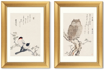 Диптих Smart owl watching 51X71 / 51X71 CM