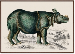 Постер Rhinoceros 105X75 CM