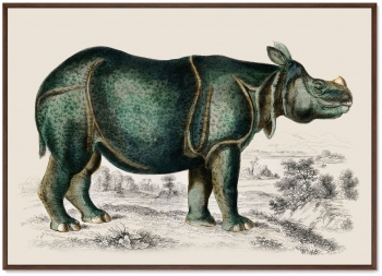 Постер Rhinoceros 105X75 CM