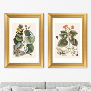 Диптих Beauty bloom 51X71 / 51X71 CM
