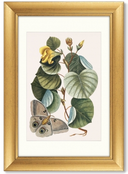 Диптих Beauty bloom 51X71 / 51X71 CM