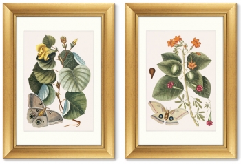Диптих Beauty bloom 51X71 / 51X71 CM