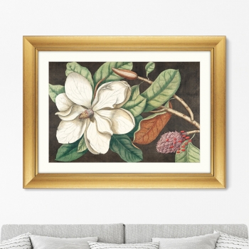 Постер Beauty bloom №1 81X61 CM