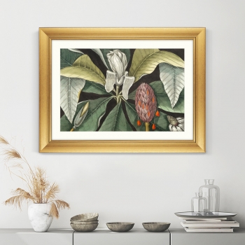 Постер Beauty bloom 81X61 CM
