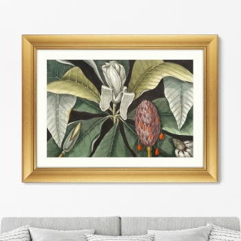 Постер Beauty bloom 81X61 CM