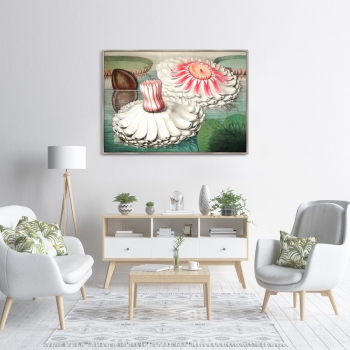 Постер Water lily during bloom 105X75 CM