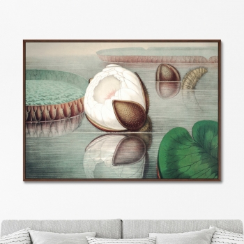 Постер Form of a gigantic water lily 105X75 CM
