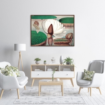 Постер Opening of a gigantic water lily 105X75 CM