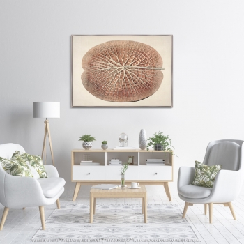 Постер Leaf of a gigantic water lily 105X75 CM