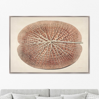Постер Leaf of a gigantic water lily 105X75 CM
