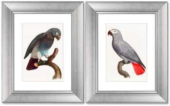 Диптих Beautiful parrots 41X51 / 41X51 CM