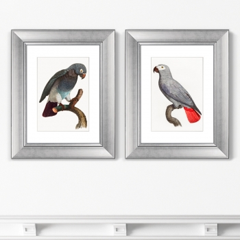 Диптих Beautiful parrots 41X51 / 41X51 CM