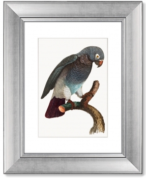 Диптих Beautiful parrots 41X51 / 41X51 CM