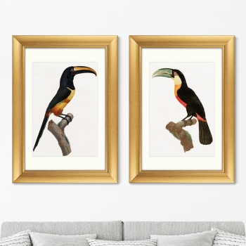 Диптих Beautiful toucans 51X71 / 51X71 CM