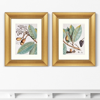 Диптих Exotic plants of the world 41X51 / 41X51 CM