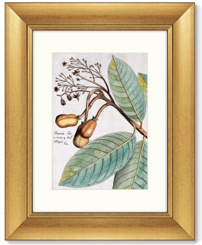 Диптих Exotic plants of the world 41X51 / 41X51 CM