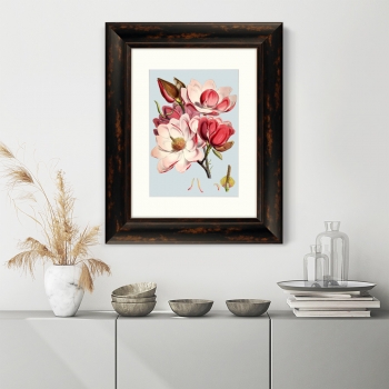Постер Himalaya Plants Pink Flower 41X51 CM