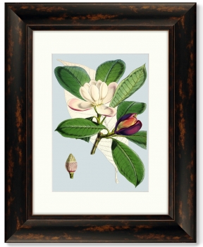 Постер Purple And White Flowers 41X51 CM