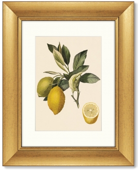 Диптих Juicy fruit lithography 41X51 / 41X51 CM