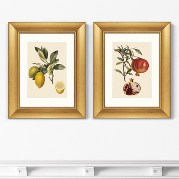Диптих Juicy fruit lithography 41X51 / 41X51 CM