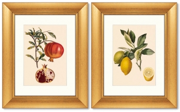 Диптих Juicy fruit lithography 41X51 / 41X51 CM