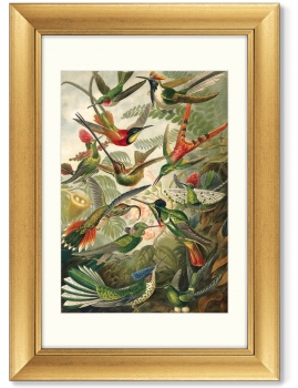Диптих Art forms of nature 51X71 / 51X71 CM
